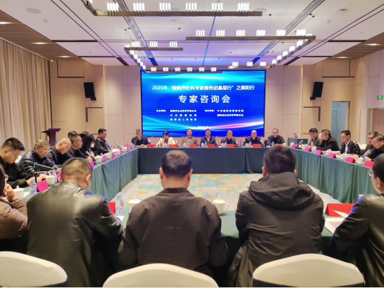 1764923832182325.png 3.png