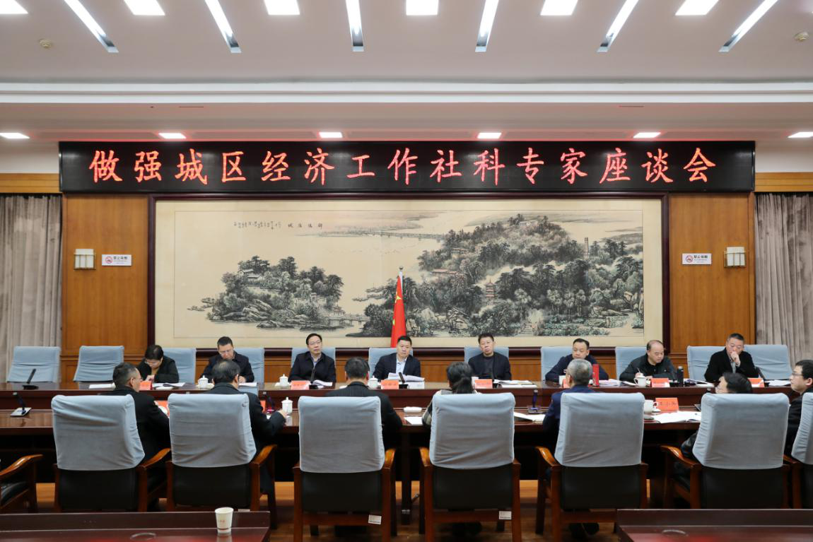 衡阳市召开“做强城区经济工作社科专家座谈会”